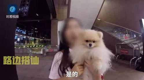 外国渣男爆料视频大全最新,外国渣男爆料视频大全，真实情感陷阱大曝光！  第2张